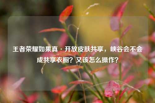 王者荣耀如果真·开放皮肤共享,峡谷会不会成共享衣橱?又该怎么操作?