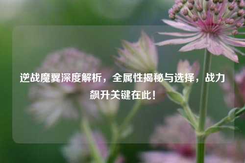 逆战魔翼深度解析,全属性揭秘与选择,战力飙升关键在此!