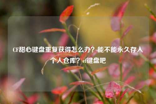 CF甜心键盘重复获得怎么办?能不能永久存入个人仓库?cf键盘吧