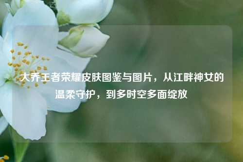 大乔王者荣耀皮肤图鉴与图片,从江畔神女的温柔守护,到多时空多面绽放