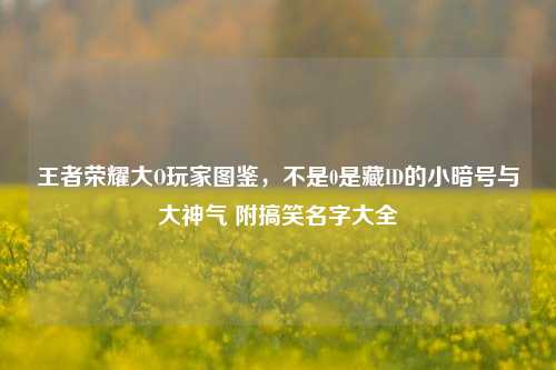 王者荣耀大O玩家图鉴,不是0是藏ID的小暗号与大神气 附搞笑名字大全