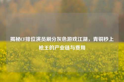 揭秘CF排位演员刷分灰色游戏江湖,青铜秒上枪王的产业链与费用