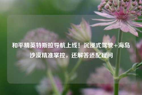 和平精英特斯拉导航上线!沉浸式驾驶+海岛沙漠精准掌控,还解答适配疑问