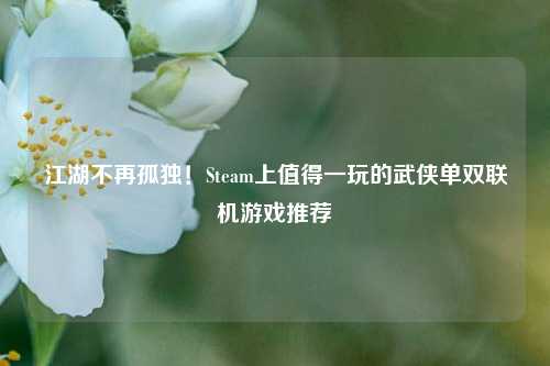 江湖不再孤独!Steam上值得一玩的武侠单双联机游戏推荐