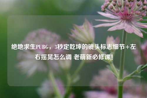 绝地求生PUBG,3秒定乾坤的镜头标志细节+左右摇晃怎么调 老萌新必修课!