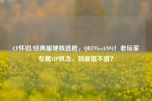 CF怀旧/经典服硬核选枪,QBZ95vsAN94!老玩家专属VIP执念,到底值不值?