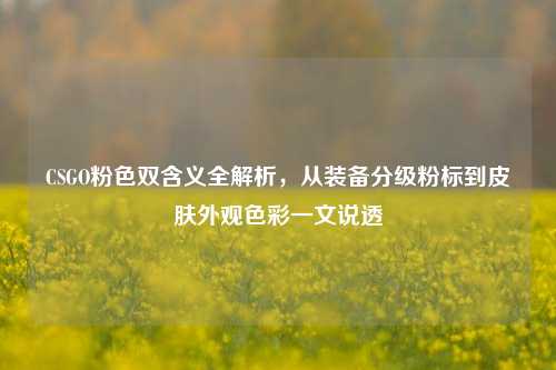 CSGO粉色双含义全解析,从装备分级粉标到皮肤外观色彩一文说透