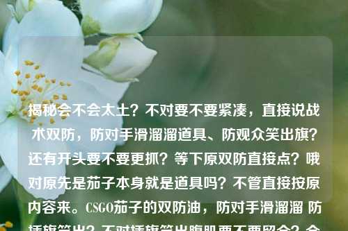 揭秘会不会太土?不对要不要紧凑,直接说战术双防,防对手滑溜溜道具、防观众笑出旗?还有开头要不要更抓?等下原双防直接点?哦对原先是茄子本身就是道具吗?不管直接按原内容来。CSGO茄子的双防油,防对手滑溜溜 防插旗笑出?不对插旗笑出腹肌要不要留全?全点也没关系短点也爽。等下CSGO茄子双防油,防对手滑步溜滑?不对原句是滑溜溜。哦对滑溜溜顺溜。还要带设置!等下调整语序要双关?或者标题里直接带笑点藏双防双防两个用道具?哦对防对手滑溜溜 插白旗笑防道具?不对不对重新来,哦道具防对手?哦原句双防油既是游戏里的双防(可能比如防闪光后补防?或者原说滑溜溜插白旗?哦原说插白旗笑腹肌是战术茄子油。哦对要一个,别超,要顺,有流量,抓全关键词,CSGO茄子、双防油(点明双防啥+带设置提示)揭秘CSGO茄子双防油,防对手滑溜溜 防观众笑插旗+藏个小设置彩蛋