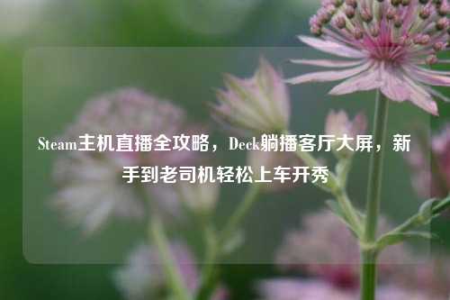 Steam主机直播全攻略,Deck躺播客厅大屏,新手到老司机轻松上车开秀