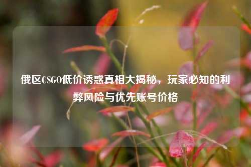俄区CSGO低价诱惑真相大揭秘,玩家必知的利弊风险与优先账号价格