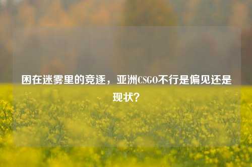 困在迷雾里的竞逐,亚洲CSGO不行是偏见还是现状?