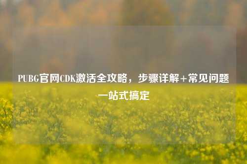 PUBG官网CDK激活全攻略,步骤详解+常见问题一站式搞定