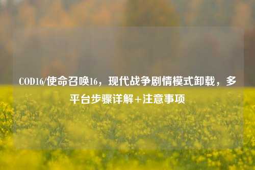 COD16/使命召唤16,现代战争剧情模式卸载,多平台步骤详解+注意事项