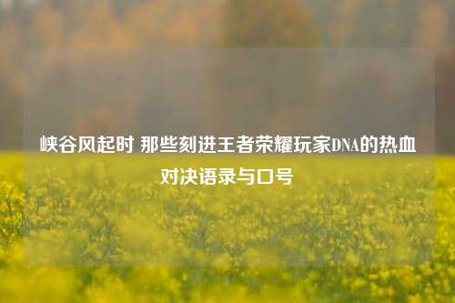 峡谷风起时 那些刻进王者荣耀玩家DNA的热血对决语录与口号