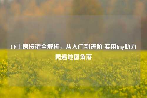 CF上房按键全解析,从入门到进阶 实用bug助力爬遍地图角落