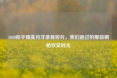 2020和平精英月洋录屏碎片,我们追过的那段钢枪欢笑时光