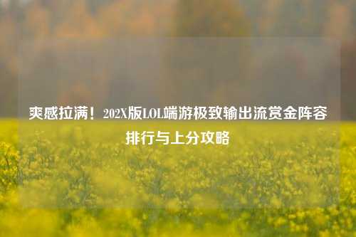 爽感拉满！202X版LOL端游极致输出流赏金阵容排行与上分攻略