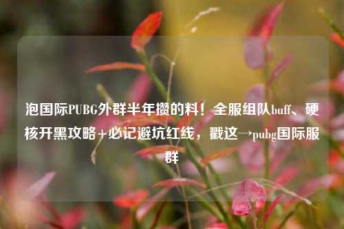 泡国际PUBG外群半年攒的料!全服组队buff、硬核开黑攻略+必记避坑红线,戳这→pubg国际服群