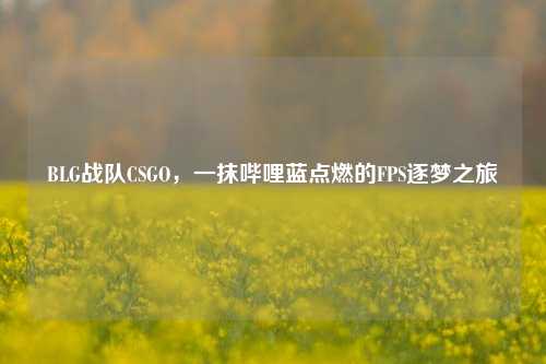 BLG战队CSGO,一抹哔哩蓝点燃的FPS逐梦之旅