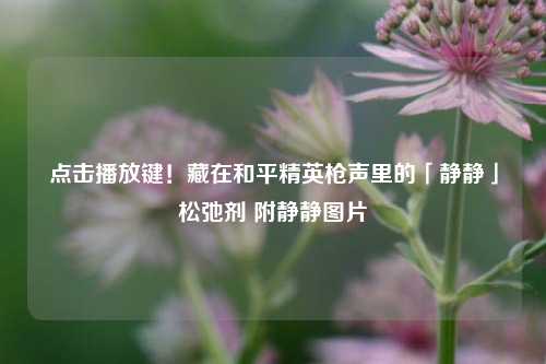 点击播放键!藏在和平精英枪声里的「静静」松弛剂 附静静图片