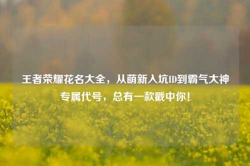 王者荣耀花名大全,从萌新入坑ID到霸气大神专属代号,总有一款戳中你!