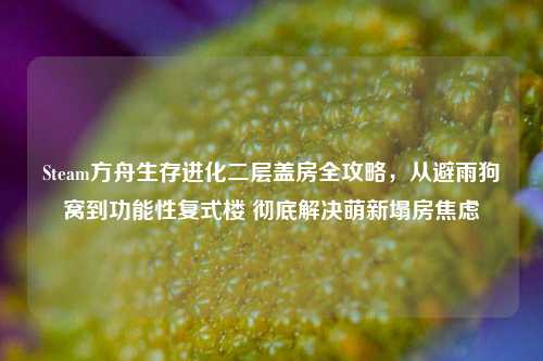 Steam方舟生存进化二层盖房全攻略,从避雨狗窝到功能性复式楼 彻底解决萌新塌房焦虑