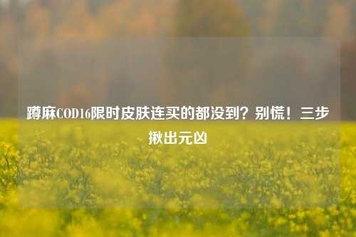 蹲麻COD16限时皮肤连买的都没到?别慌!三步揪出元凶