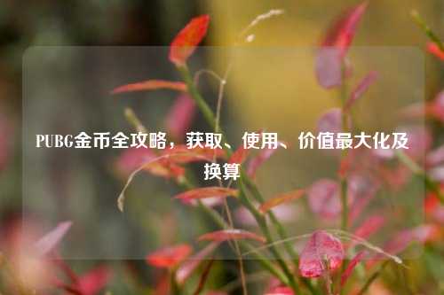 PUBG金币全攻略,获取、使用、价值最大化及换算