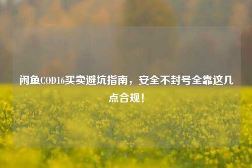 闲鱼COD16买卖避坑指南,安全不封号全靠这几点合规!