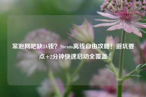 常泡网吧缺3A钱?Steam离线自由攻略!避坑要点+2分钟快速启动全覆盖