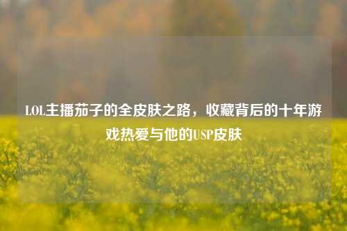 LOL主播茄子的全皮肤之路,收藏背后的十年游戏热爱与他的USP皮肤