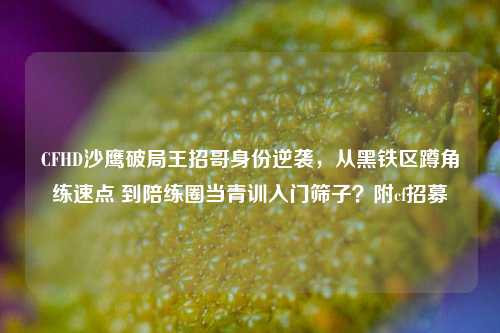 CFHD沙鹰破局王招哥身份逆袭,从黑铁区蹲角练速点 到陪练圈当青训入门筛子?附cf招募