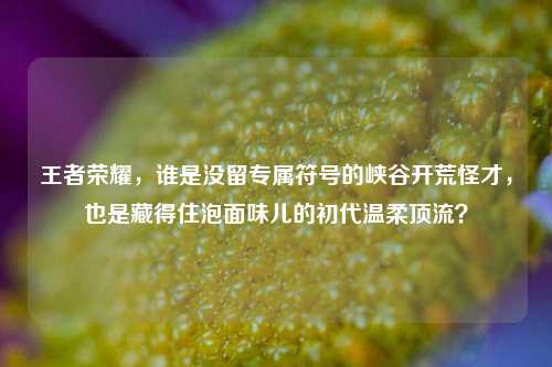 王者荣耀,谁是没留专属符号的峡谷开荒怪才,也是藏得住泡面味儿的初代温柔顶流?