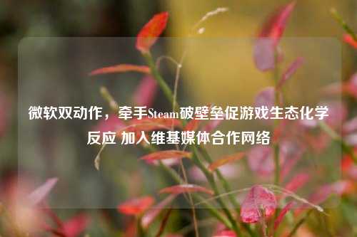微软双动作,牵手Steam破壁垒促游戏生态化学反应 加入维基媒体合作网络