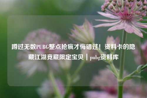 蹲过无数PUBG整点抢疯才悔错过!资料卡的隐藏江湖竟藏限定宝贝|pubg资料库