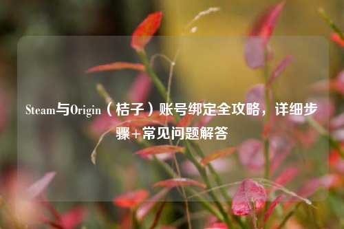 Steam与Origin(桔子)账号绑定全攻略,详细步骤+常见问题解答