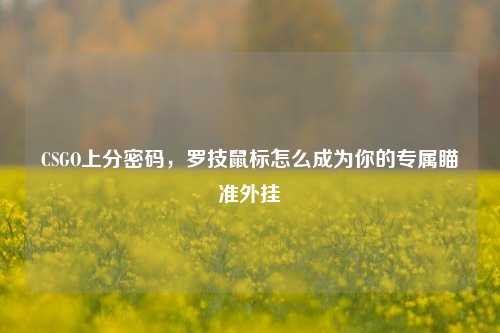 CSGO上分密码,罗技鼠标怎么成为你的专属瞄准外挂