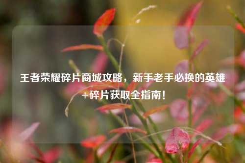 王者荣耀碎片商城攻略,新手老手必换的英雄+碎片获取全指南!