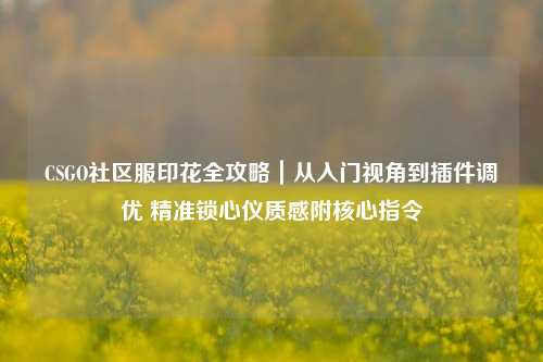 CSGO社区服印花全攻略|从入门视角到插件调优 精准锁心仪质感附核心指令