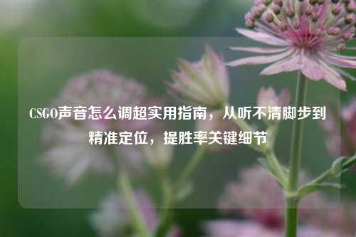 CSGO声音怎么调超实用指南,从听不清脚步到精准定位,提胜率关键细节