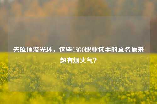 去掉顶流光环,这些CSGO职业选手的真名原来超有烟火气?