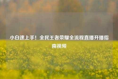 小白速上手!全民王者荣耀全流程直播开播指南视频