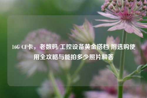 16G CF卡,老数码/工控设备黄金搭档 附选购使用全攻略与能拍多少照片解答