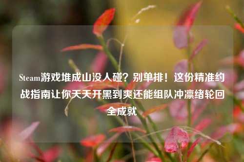 Steam游戏堆成山没人碰?别单排!这份精准约战指南让你天天开黑到爽还能组队冲凛绪轮回全成就