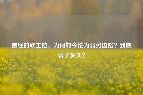 曾经的砍王铠,为何如今沦为弱势边路?到底弱了多久?