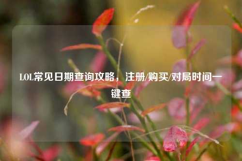 LOL常见日期查询攻略,注册/购买/对局时间一键查