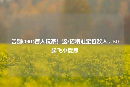 告别COD16盲人玩家!这5招精准定位敌人,KD起飞小意思