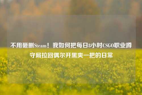 不用砸删Steam!我如何把每日8小时CSGO职业蹲守局拉回偶尔开黑爽一把的日常