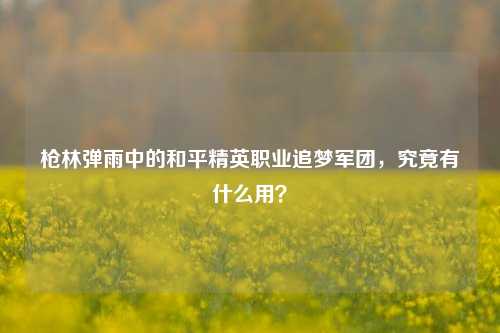 枪林弹雨中的和平精英职业追梦军团,究竟有什么用?