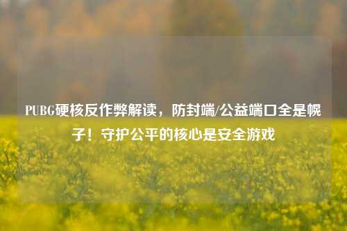 PUBG硬核反作弊解读,防封端/公益端口全是幌子!守护公平的核心是安全游戏